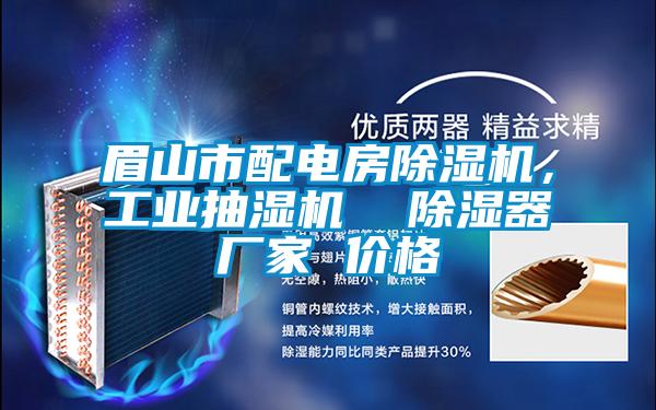 眉山市配電房除濕機,工業抽濕機 除濕器廠家 價格