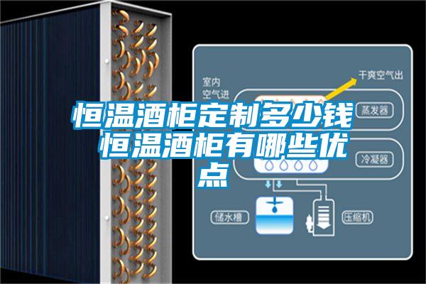 恒溫酒柜定制多少錢 恒溫酒柜有哪些優點