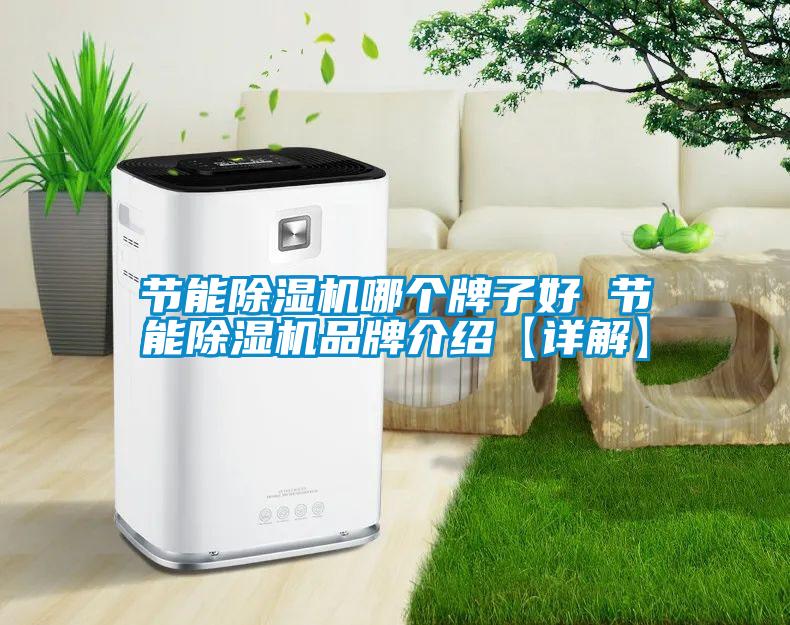 節能除濕機哪個牌子好 節能除濕機品牌介紹【詳解】