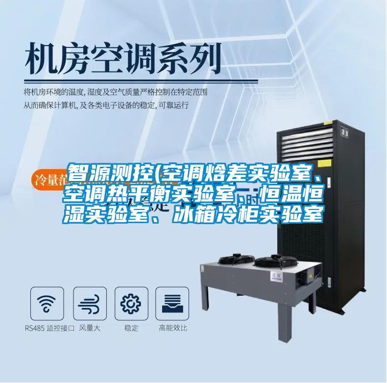 智源測(cè)控(空調(diào)焓差實(shí)驗(yàn)室、空調(diào)熱平衡實(shí)驗(yàn)室、恒溫恒濕實(shí)驗(yàn)室、冰箱冷柜實(shí)驗(yàn)室