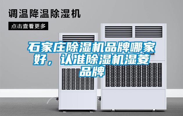 石家莊除濕機品牌哪家好,認準除濕機濕菱品牌