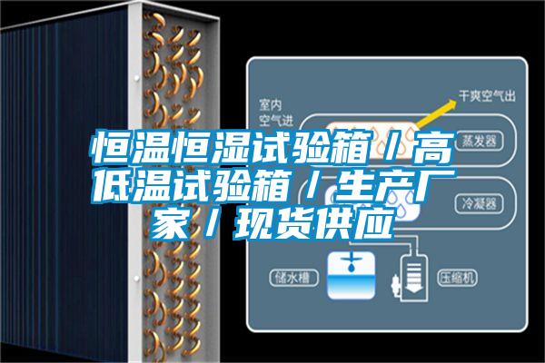 恒溫恒濕試驗箱/高低溫試驗箱/生產廠家/現貨供應