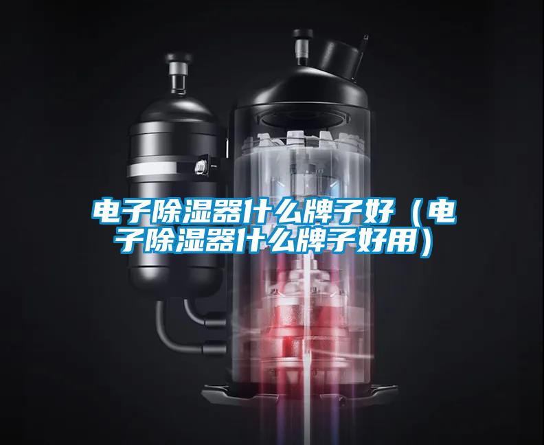 電子除濕器什么牌子好(電子除濕器什么牌子好用)