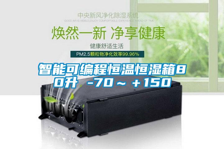 智能可編程恒溫恒濕箱80升 -70~+150℃