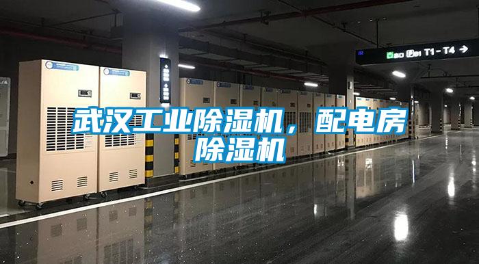 武漢工業(yè)除濕機(jī),配電房除濕機(jī)