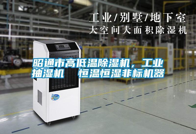 昭通市高低溫除濕機(jī),工業(yè)抽濕機(jī) 恒溫恒濕非標(biāo)機(jī)器