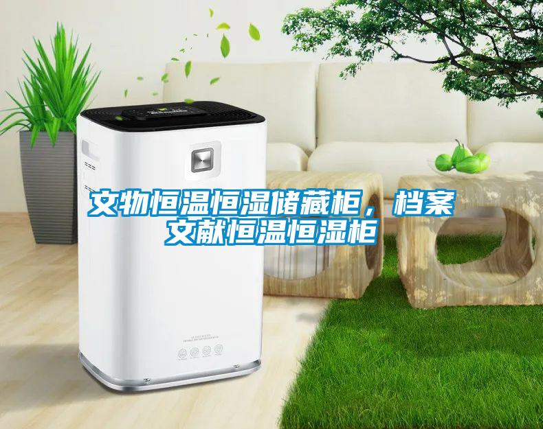 文物恒溫恒濕儲藏柜，檔案文獻恒溫恒濕柜