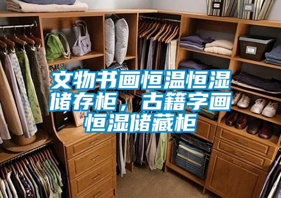 文物書畫恒溫恒濕儲存柜,古籍字畫恒濕儲藏柜