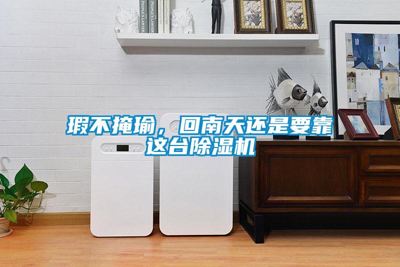 瑕不掩瑜,回南天還是要靠這臺除濕機