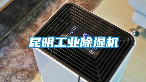 昆明工業除濕機