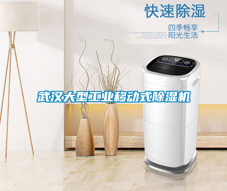 武漢大型工業移動式除濕機