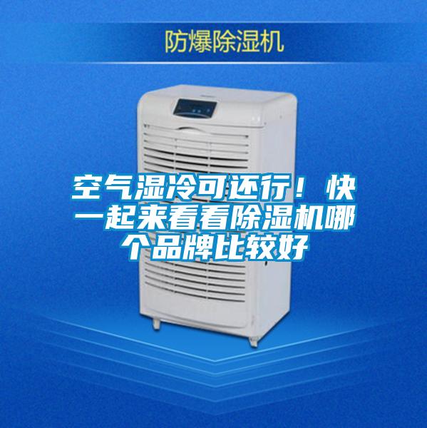 空氣濕冷可還行!快一起來看看除濕機哪個品牌比較好