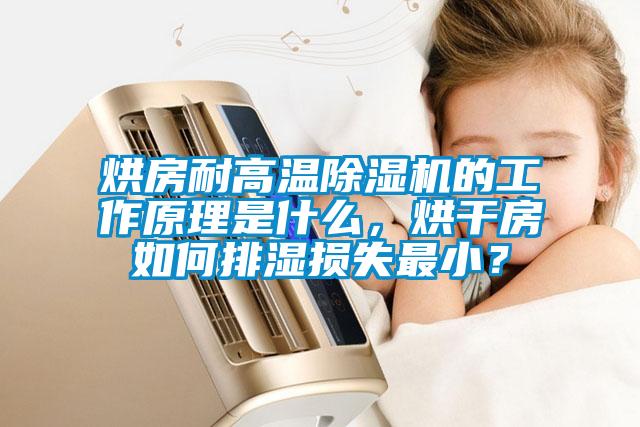 烘房耐高溫除濕機的工作原理是什么,烘干房如何排濕損失最小?