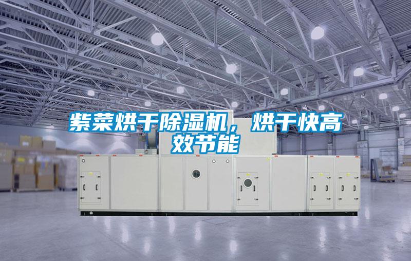 紫菜烘干除濕機(jī),烘干快高效節(jié)能