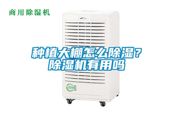 種植大棚怎么除濕？除濕機有用嗎