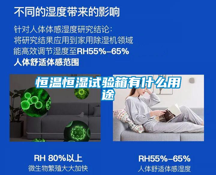 恒溫恒濕試驗箱有什么用途