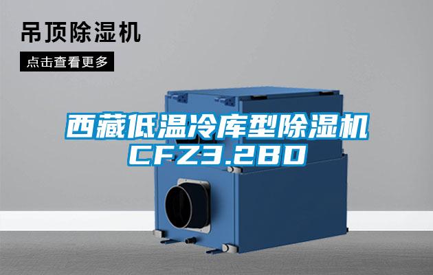 西藏低溫冷庫型除濕機CFZ3.2BD