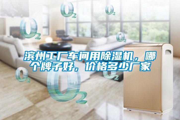 濱州工廠車間用除濕機(jī),哪個牌子好,價格多少廠家