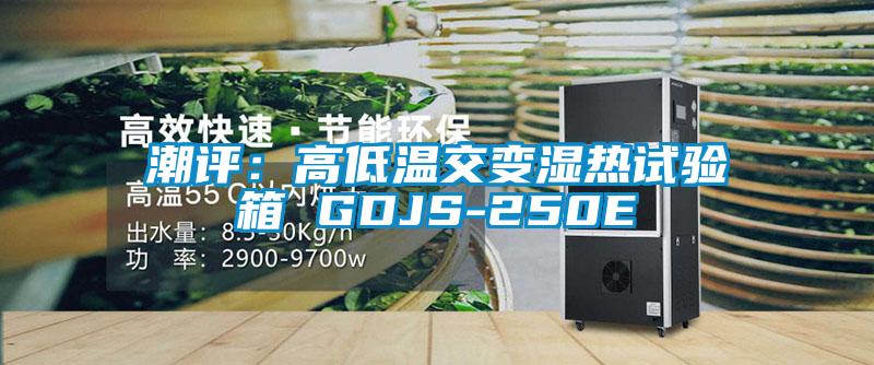 潮評:高低溫交變濕熱試驗箱 GDJS-250E