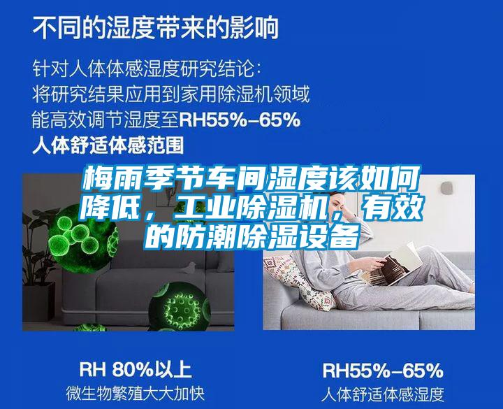 梅雨季節車間濕度該如何降低,工業除濕機,有效的防潮除濕設備