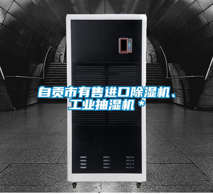 自貢市有售進口除濕機、工業抽濕機*