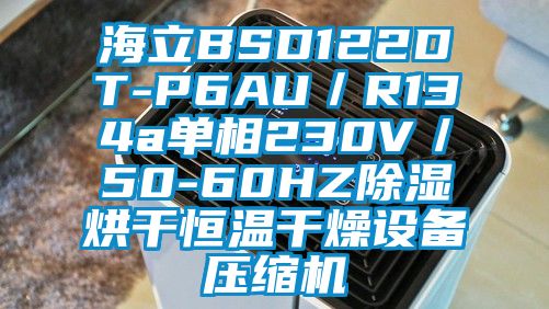 海立BSD122DT-P6AU/R134a單相230V/50-60HZ除濕烘干恒溫干燥設備壓縮機