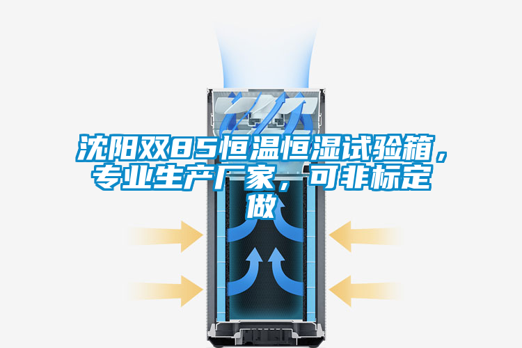 沈陽雙85恒溫恒濕試驗箱,專業生產廠家,可非標定做