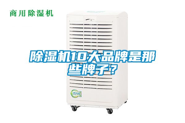 除濕機10大品牌是那些牌子?