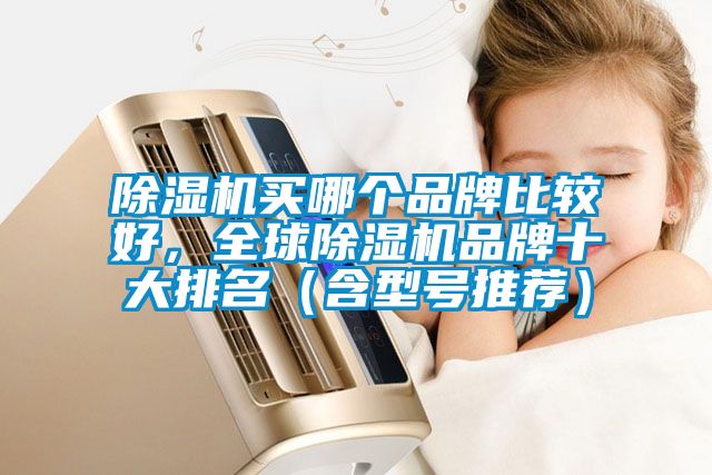 除濕機買哪個品牌比較好,全球除濕機品牌十大排名(含型號推薦)