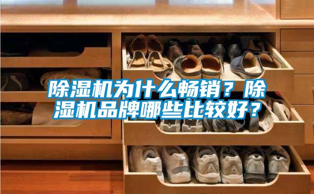 除濕機為什么暢銷？除濕機品牌哪些比較好？