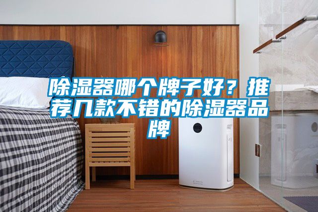 除濕器哪個牌子好?推薦幾款不錯的除濕器品牌