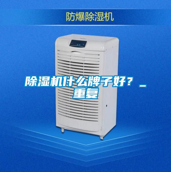 除濕機什么牌子好?_重復