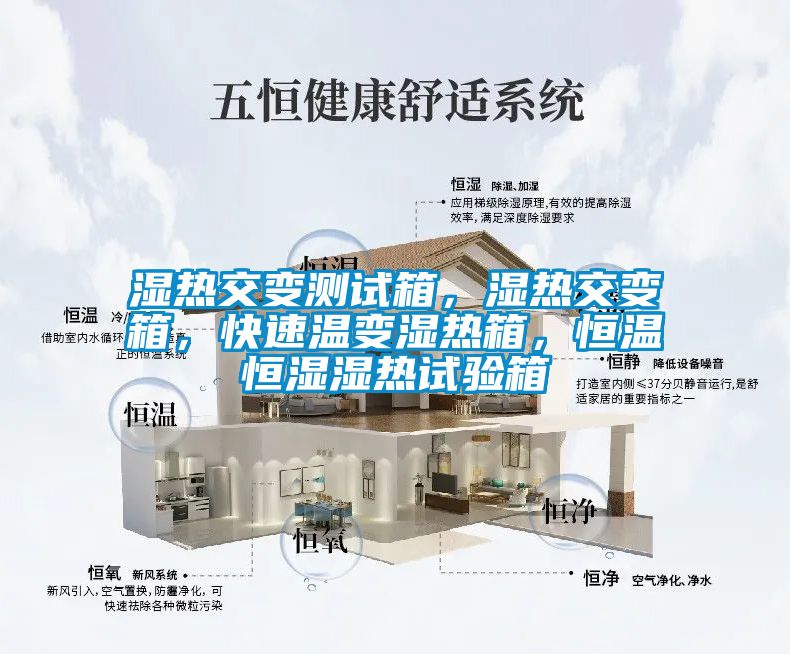 濕熱交變測試箱,濕熱交變箱,快速溫變濕熱箱,恒溫恒濕濕熱試驗箱