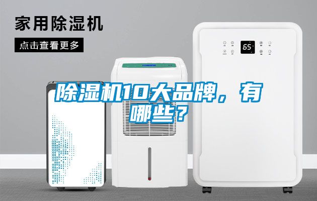 除濕機(jī)10大品牌,有哪些?