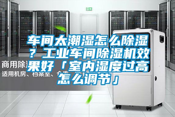 車間太潮濕怎么除濕?工業車間除濕機效果好「室內濕度過高怎么調節」