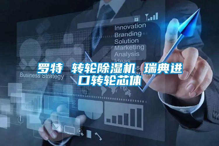 羅特 轉輪除濕機 瑞典進口轉輪芯體