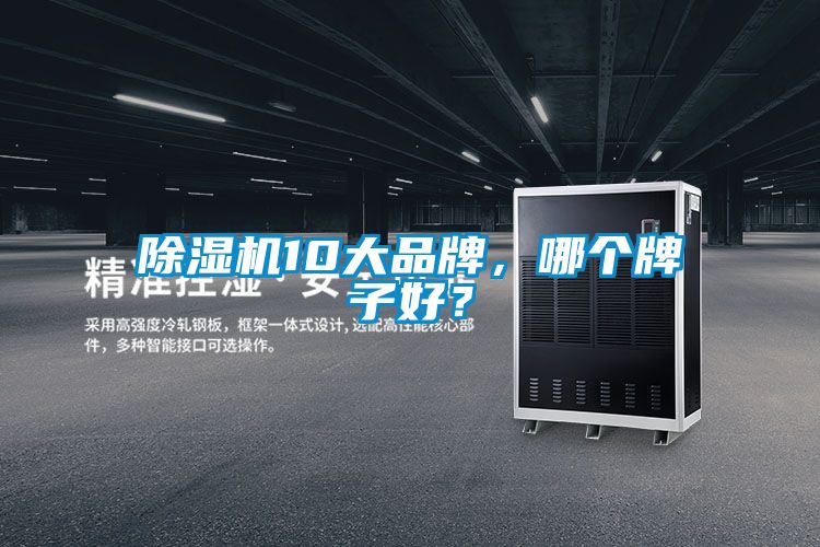 除濕機10大品牌,哪個牌子好?