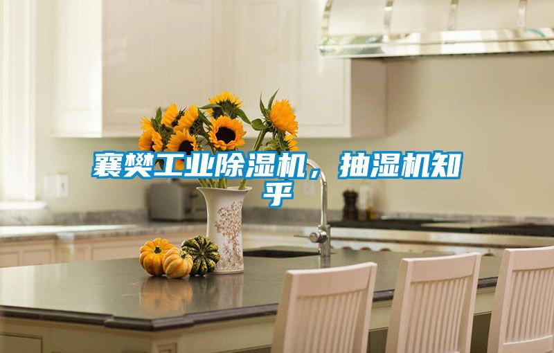襄樊工業(yè)除濕機(jī),抽濕機(jī)知乎