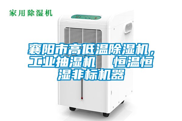 襄陽市高低溫除濕機,工業抽濕機 恒溫恒濕非標機器