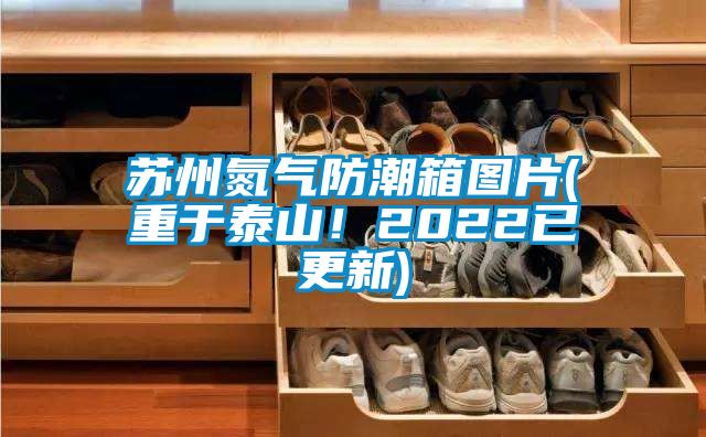 蘇州氮氣防潮箱圖片(重于泰山!2022已更新)