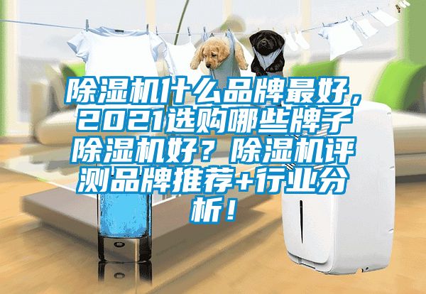 除濕機什么品牌最好,2021選購哪些牌子除濕機好?除濕機評測品牌推薦+行業分析!