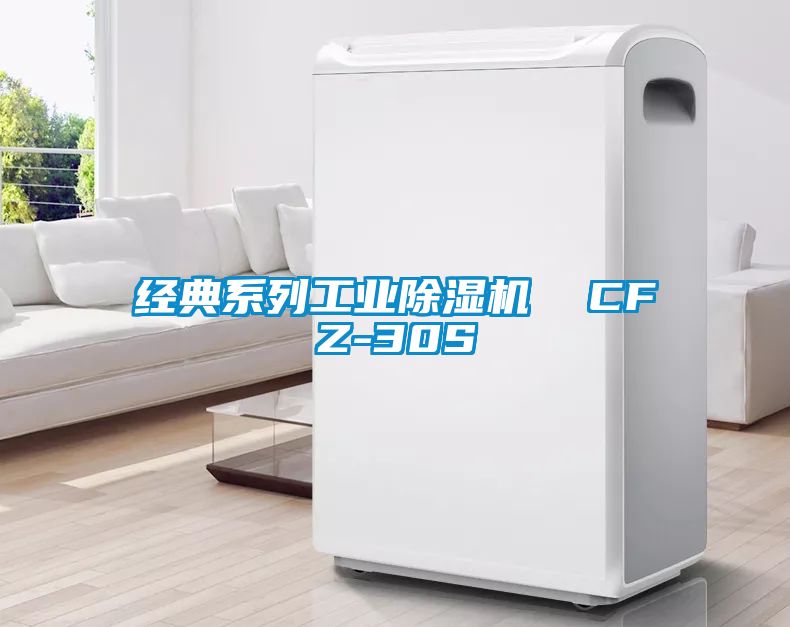 經典系列工業(yè)除濕機 CFZ-30S