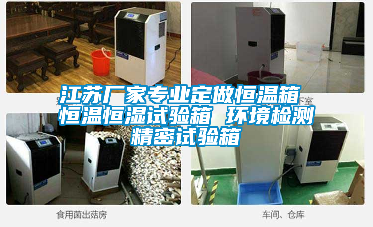 江蘇廠家專業定做恒溫箱 恒溫恒濕試驗箱 環境檢測精密試驗箱