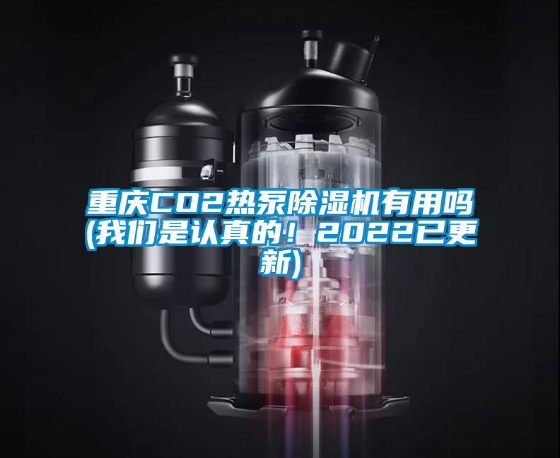 重慶CO2熱泵除濕機有用嗎(我們是認真的!2022已更新)
