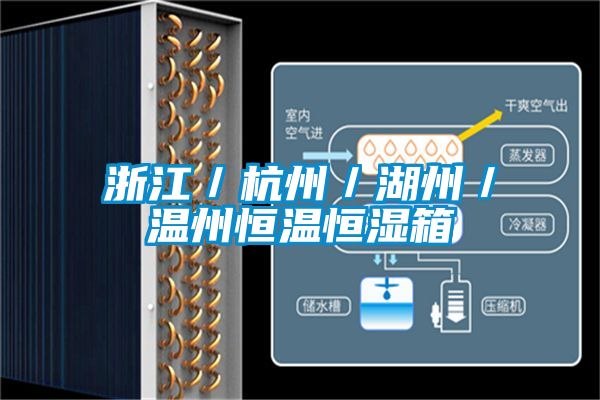 浙江/杭州/湖州/溫州恒溫恒濕箱