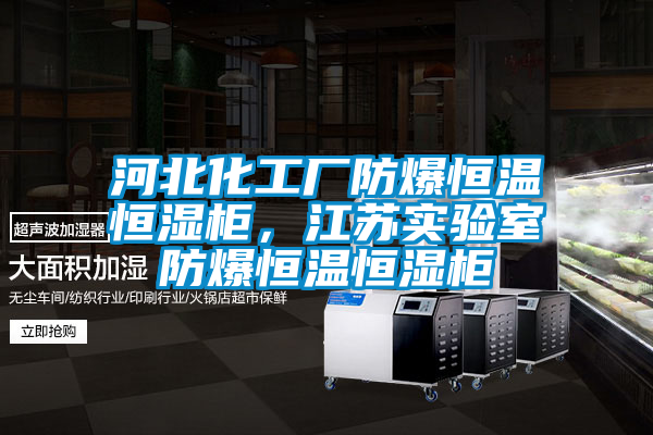 河北化工廠防爆恒溫恒濕柜，江蘇實驗室防爆恒溫恒濕柜