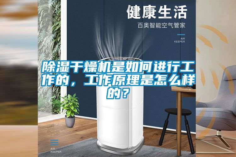 除濕干燥機是如何進行工作的，工作原理是怎么樣的？