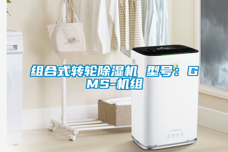 組合式轉(zhuǎn)輪除濕機 型號:GMS-機組