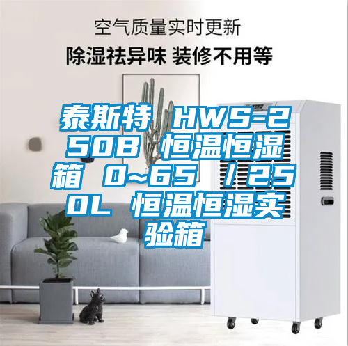 泰斯特 HWS-250B 恒溫恒濕箱 0~65℃/250L 恒溫恒濕實驗箱
