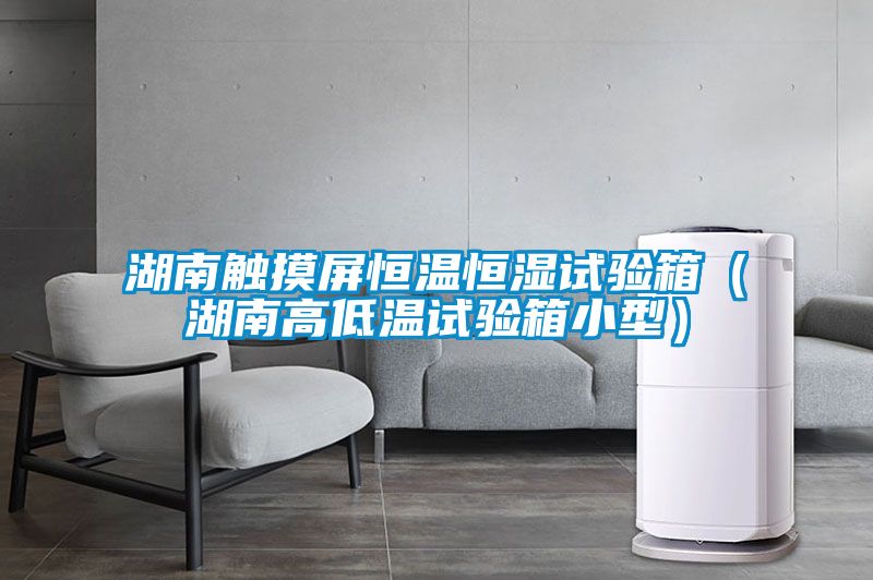 湖南觸摸屏恒溫恒濕試驗箱(湖南高低溫試驗箱小型)